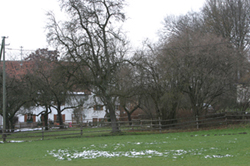 Foto: Johannes Dziemballa